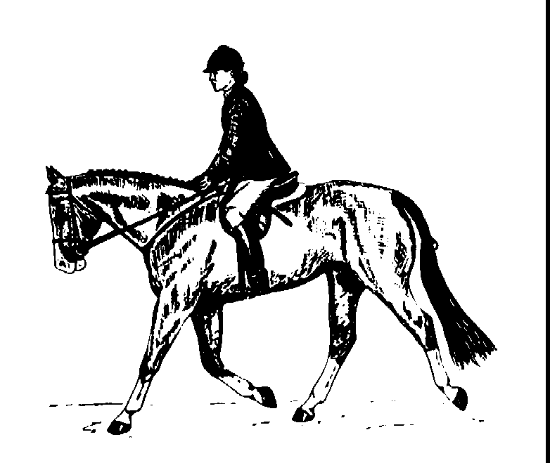 clip art of horse and rider - photo #13