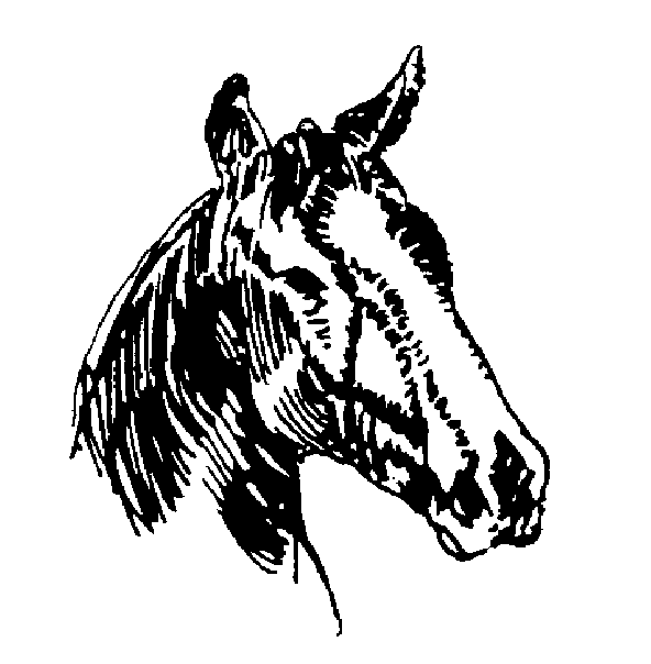 clip art horse head - photo #25