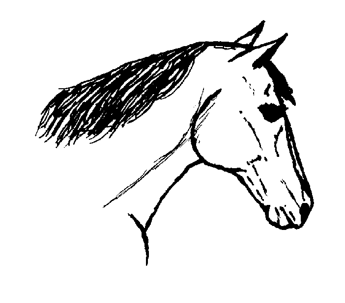 horse drawings clip art - photo #27