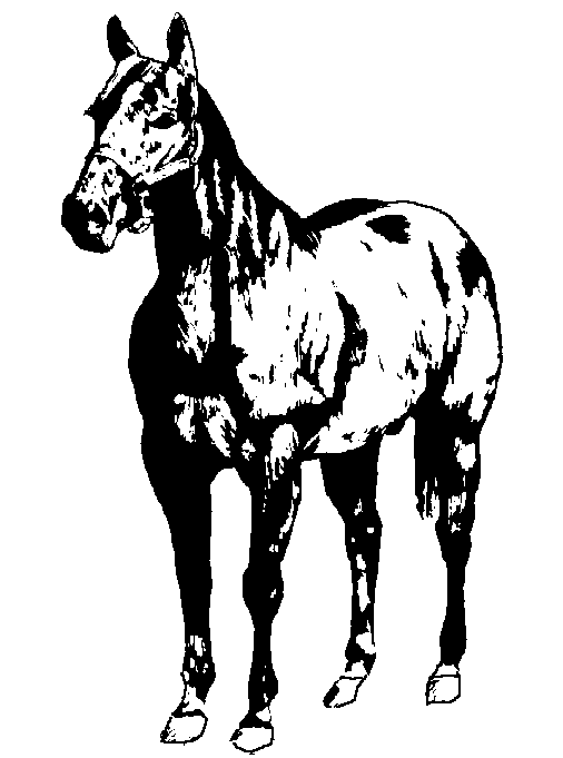 clipart of horse standing - photo #14