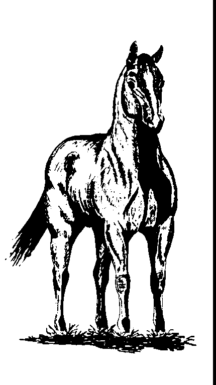 clipart of horse standing - photo #43